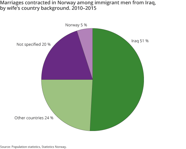 Figure 8. Marriages contracted in Norway among immigrant men from Iraq, by wife’s country background. 2010–2015