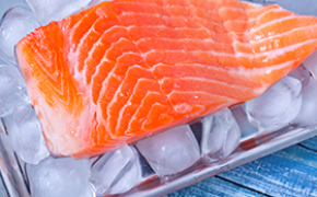 Fisk til Asia, metaller til Europa