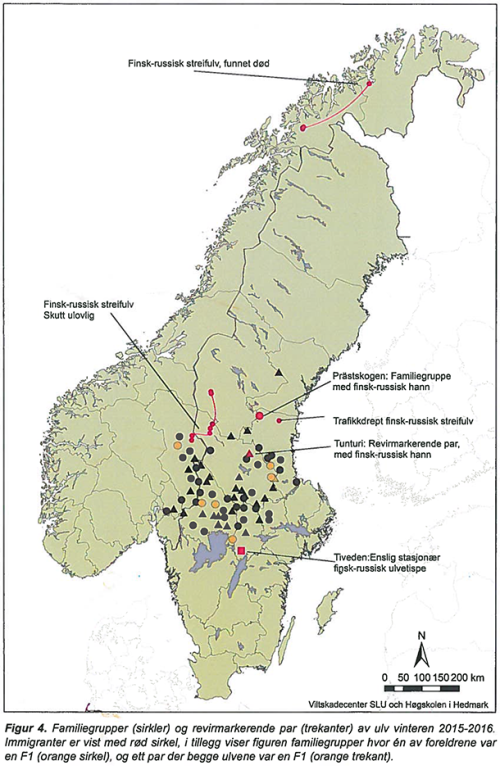 Familiegrupper Familiegrupper