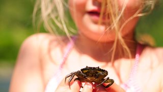 Jente med krabbe i hendene.