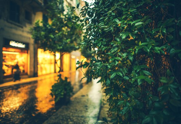 Bygate med butikk fotografert ute av fokus, med en trær og grønne planter i forgrunnen.