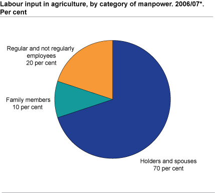 Labour input in agriculture, by category of manpower. 2006/07*. Per cent