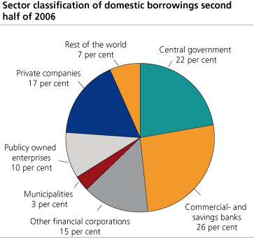 Sector classification of domestic borrowings, second half of 2006