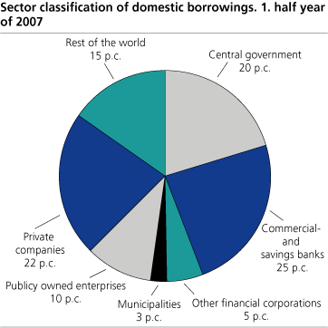 Sector classification of domestic borrowings 1. half year of 2007.
