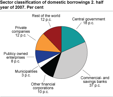 Sector classification of domestic borrowings 2. half year of 2007