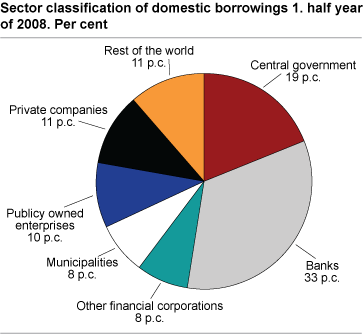 Sector classification of domestic borrowings 1. half year of 2008