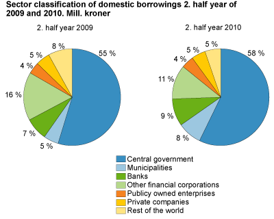 Sector classification of domestic borrowings
