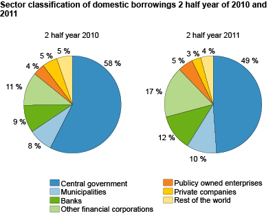 Sector classification of domestic borrowings