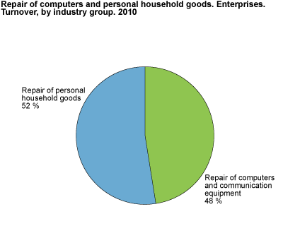 Repair of computers and personal household goods. Enterprises. Turnover by industry group.2010.