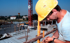 Majority immigrate for labour