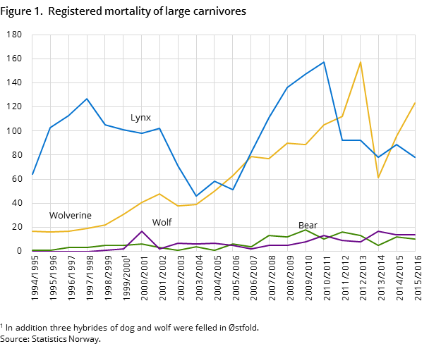 Figure 1.  Registered mortality of large carnivores