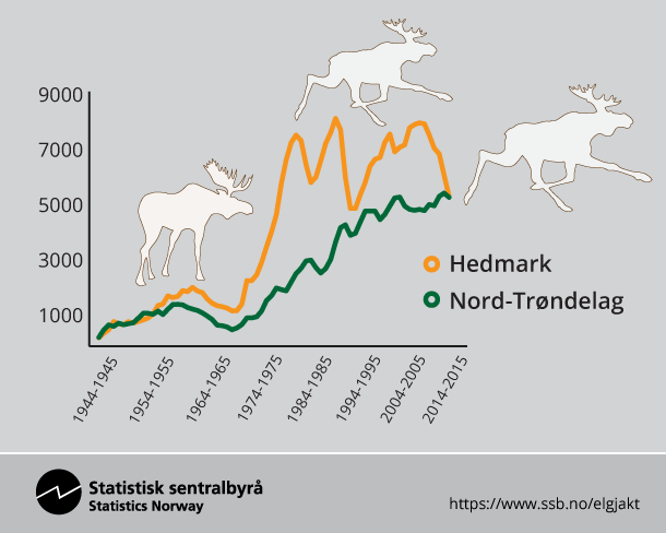 Felte elg Hedmark og Nord-Trøndelag Felte elg Hedmark og Nord-Trøndelag
