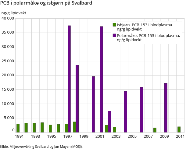 PCB i polarmåke og isbjørn på Svalbard PCB i polarmåke og isbjørn på Svalbard
