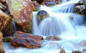 Vekst for avfallsbransjen